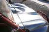 Chrome Rhino